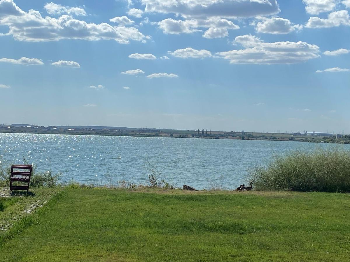Van Studio Нэводари Экстерьер фото