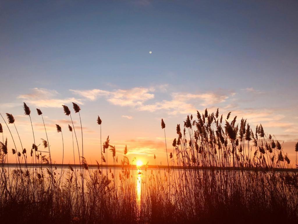 Van Studio Нэводари Экстерьер фото