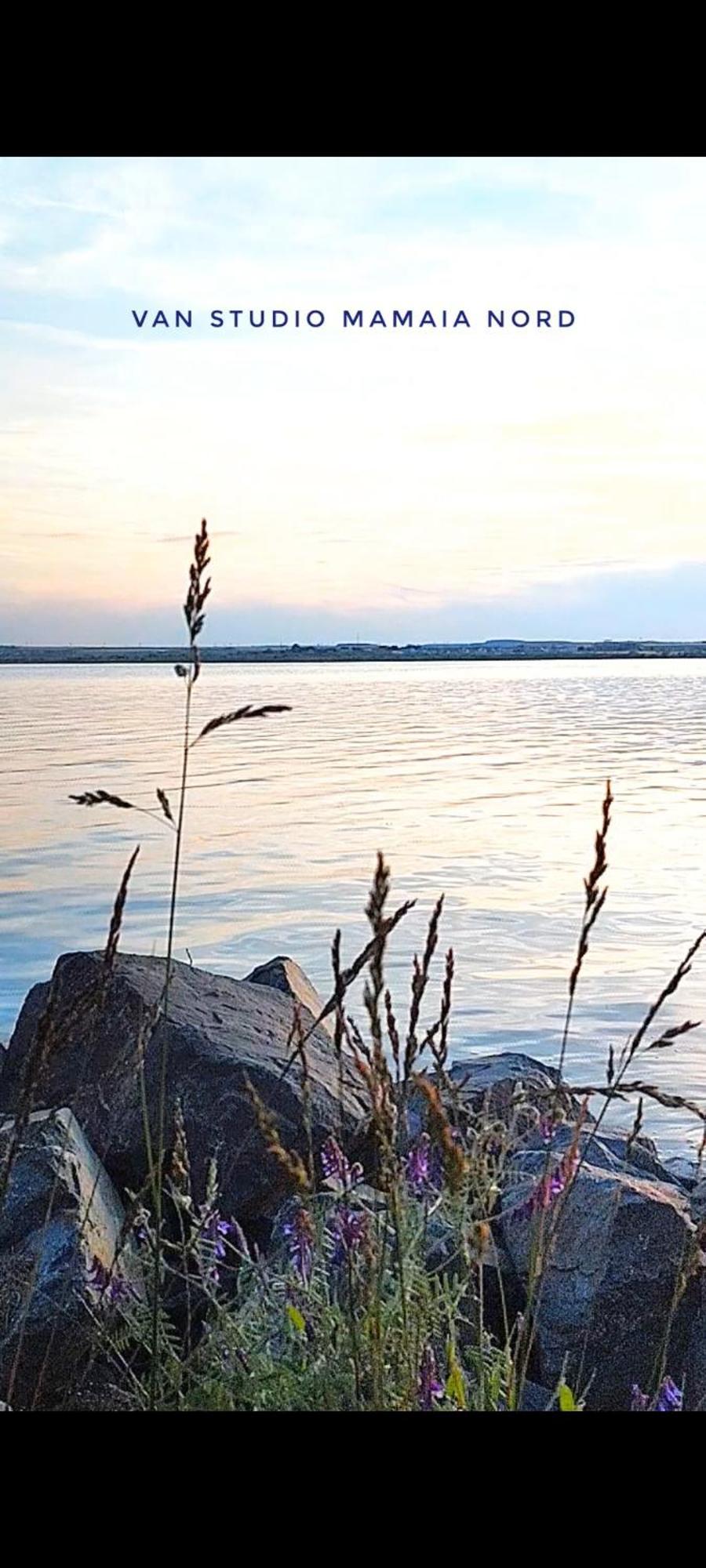 Van Studio Нэводари Экстерьер фото